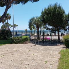 NOUVEAU ! Studio avec terrasse dans résidence en face de la mer - CANNES MIDI