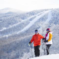 Windham Ridge Chalet