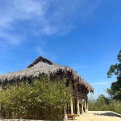 Suối Rồng FarmStay