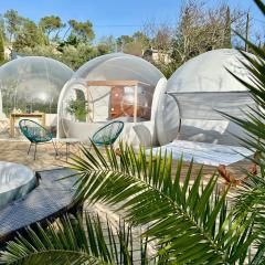 Les bulles Nîmoises