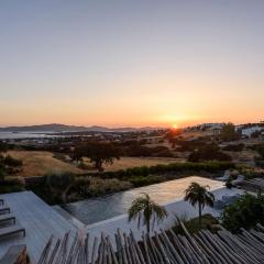 House of Old Olive Tree