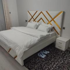 Unique 2BR with skyview top roof pool GYM