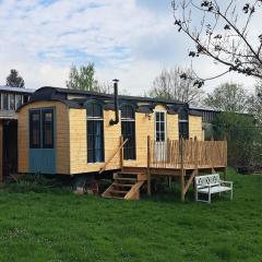 Zirkuswagen - Roulotte