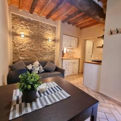 Tra Miracoli e Cavalieri