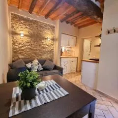 Tra Miracoli e Cavalieri