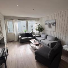 Apart, 4 pers, Central in Odda