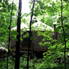 Off-the-Grid Yurt Rental in the Secluded Countryside of Thetford Center, Vermont