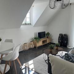 Charming apartment central in Lucerne