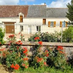 Maison dans les vignes - proche Chenonceau Beauval