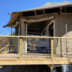 Fully-Equipped Safari Tent Rental in Burnet for Luxury Glamping in Texas