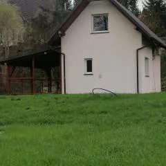Domek Góry Sowie