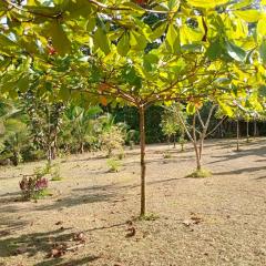Cabaña lago Río Celeste
