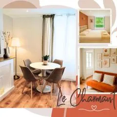 CHARME & VUE IMPRENABLE - Face au Jardin de L'Évêché