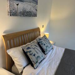 The Suite