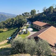 Beautiful Home In Dolceacqua