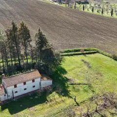 SE143 - Senigallia, casale immerso nel verde delle colline