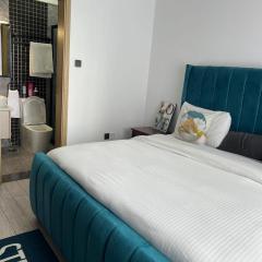 newly furnished two bedroom apartment with swimming pool, fully equipped gym, private parking space ,children playground and unbeatable scenic city views