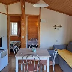 Chalet climatisé 2 chambres piscine chauffée