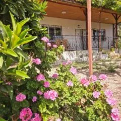 Olympos Orange Village Nature, Sea and You