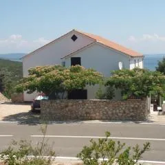 Apartments with parking space Zman, Dugi otok - 24325