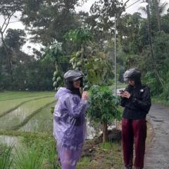 Moto driver tour Borobudur , Rice terace, sacred waterfall