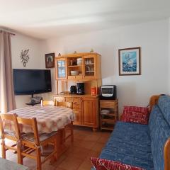 Appartement 2* centre village proche pistes et commerces - 5 pers. - FR-1-445-119