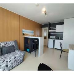 Appartement entier centre-ville