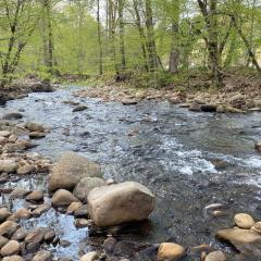 Home Sweet Home on Cosby Creek