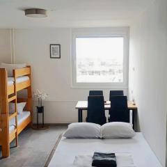 Renovated Apartment for Four