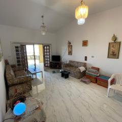 North coast Great nightlife shoreside Marina AlAlamain مارينا الساحل الشمالي