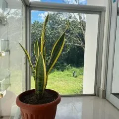 Beautiful Apartment in Tarapoto