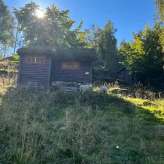 Tradisjonell norsk hytte i vakre Rasdalen