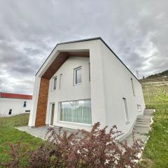 Villa Poljine Hills A80