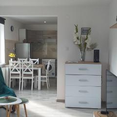 Apartament przy Papierni