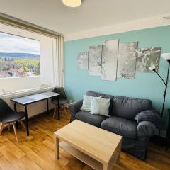 FeWo Sunrise im Ferienpark Altenau