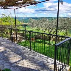 Studio Apartment Belvedere