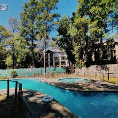 Departamento Pucon Parque