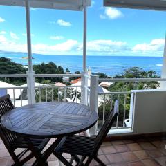 Ananas Premium - Séjour Détente T2 Vue Mer avec Balcon Privé à Tartane