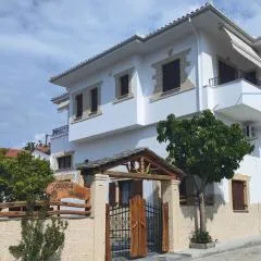 Orange Garden