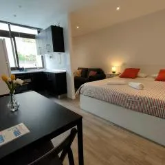 Sea loft with a huge bed
