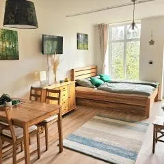 Lesní apartmán Hamry
