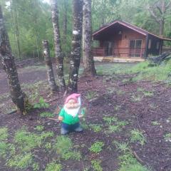 Cafeteria y Cabañas Eluney - Llaurel