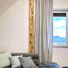 Egy présház tágas tetőtere mesés kilátással