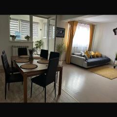 Panoramic Apartament