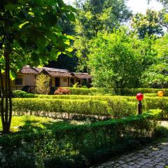 Wild Planet Eco Retreat