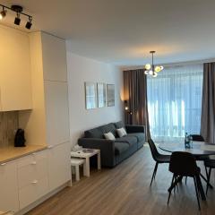 Dzielna Prime Apartment