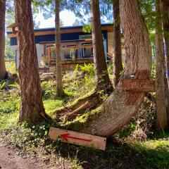Little Cabin in Middlepoint