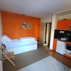 Résidence Arzerier - "Spécial petit budget" Mini studio avec parking MAE-9204