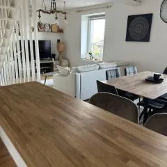 Epinal Port de plaisance Triplex 80 m2