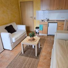 Studiowohnung zentral in Geisenheim 1-2 Personen